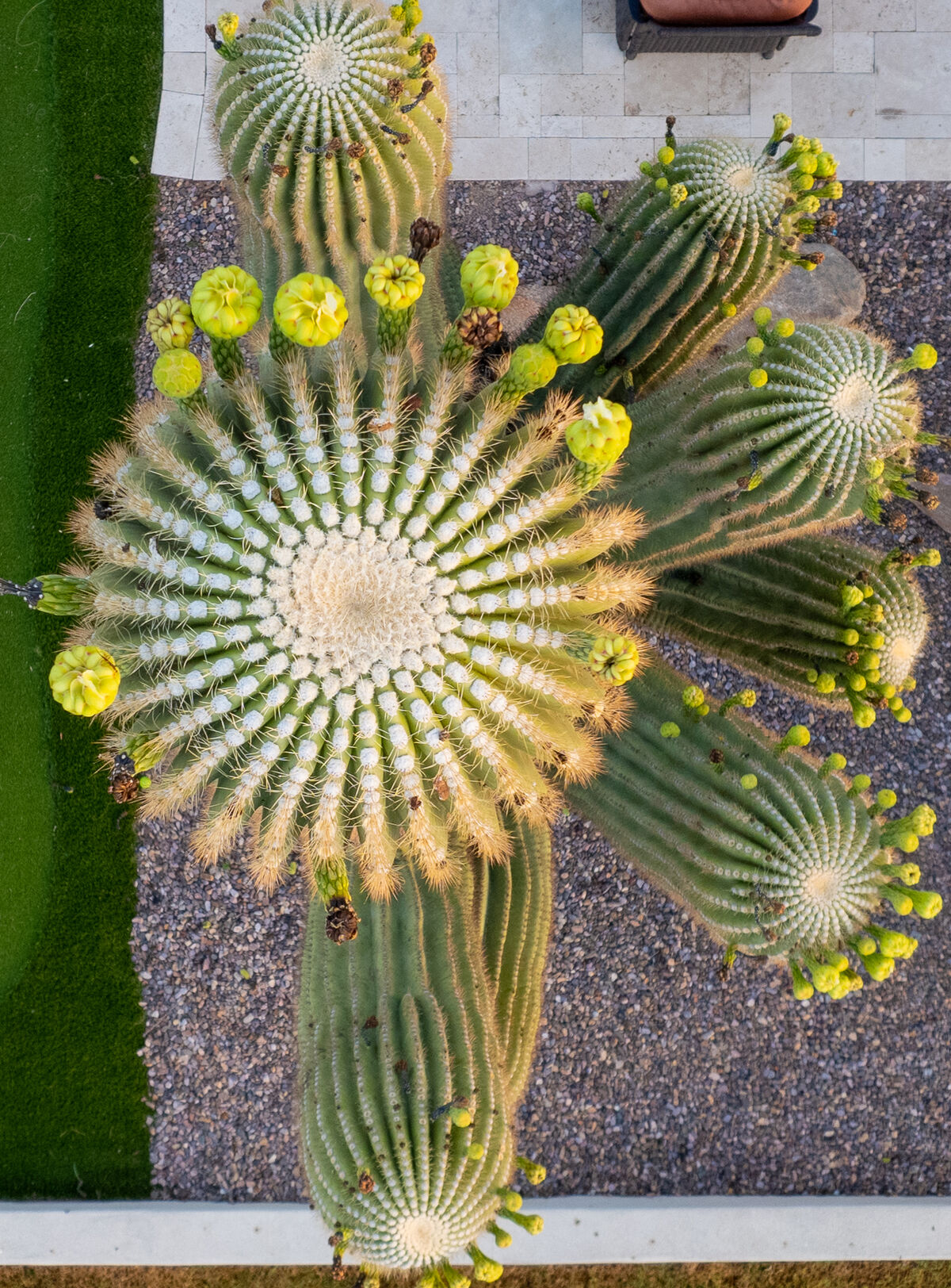 Mesa home drone aerial neighborhood